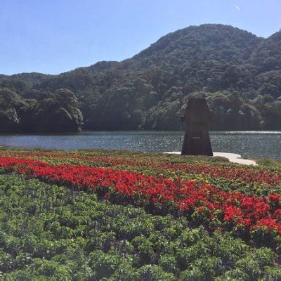  Shimen Park - En mystisk bergstigning till ett paradis av naturlig skönhet!